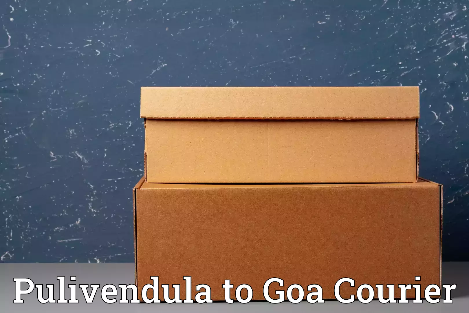 Comprehensive goods transport Pulivendula to Panjim