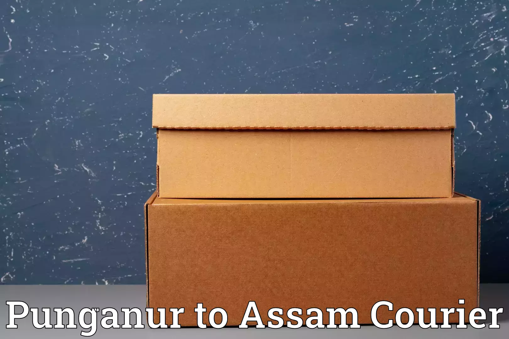 Custom moving and storage Punganur to Ramkrishna Nagar Karimganj