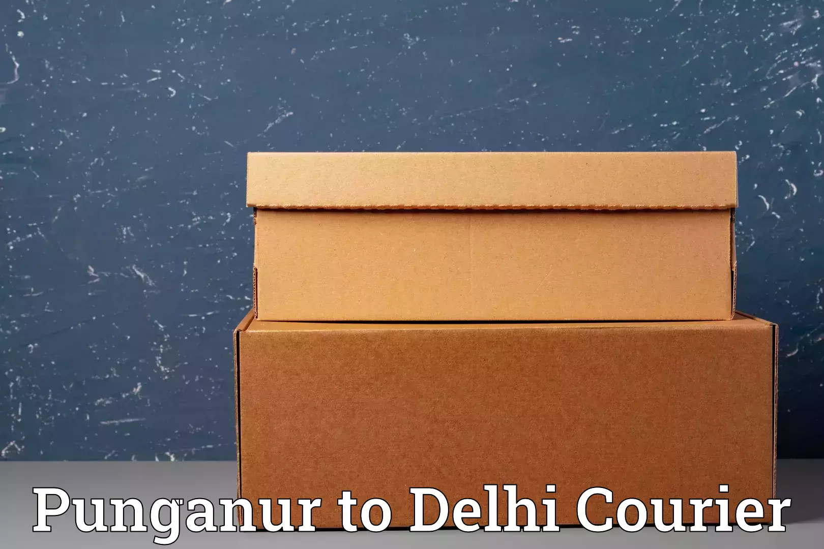 Household moving experts Punganur to Guru Gobind Singh Indraprastha University New Delhi