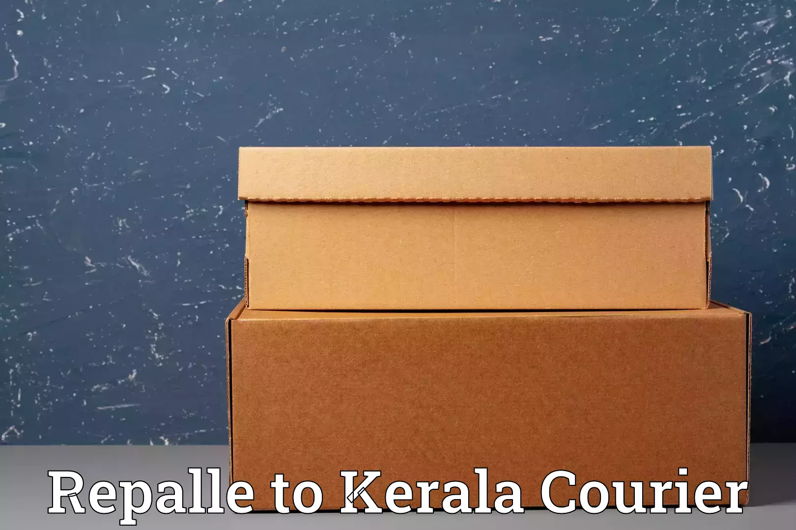 Quality moving company Repalle to Kerala