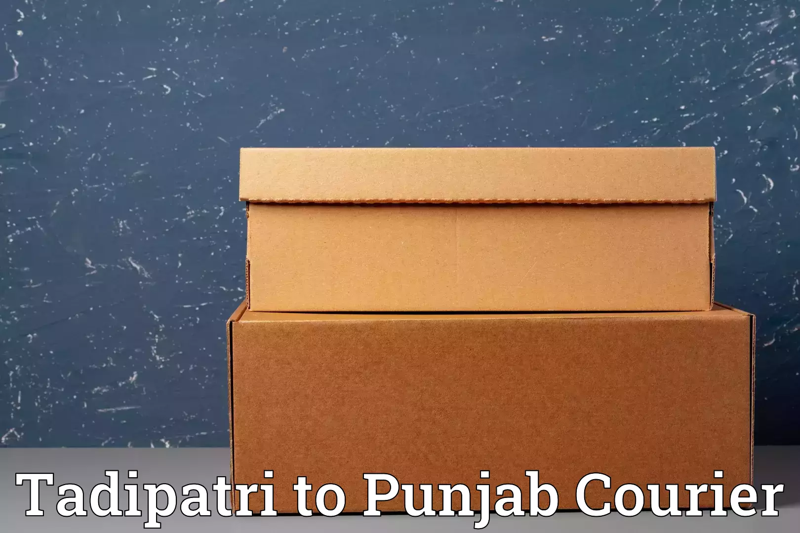 Comprehensive moving services Tadipatri to Jalandhar