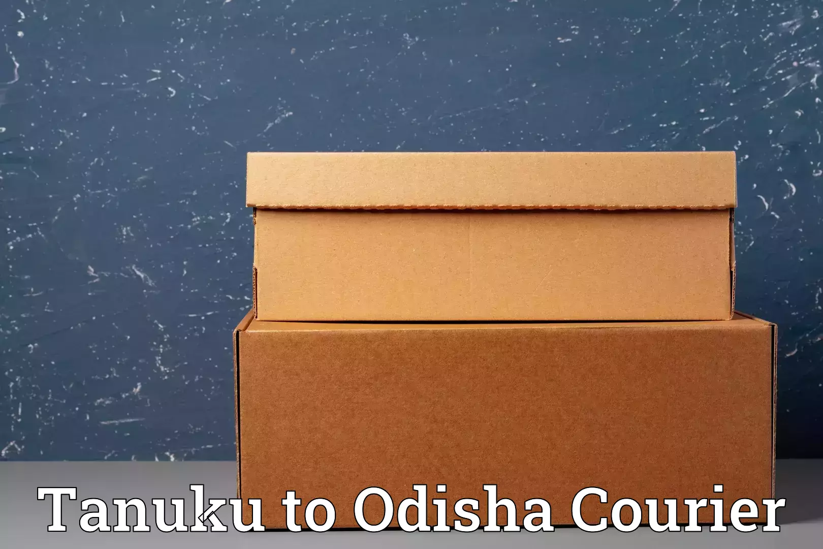 Reliable furniture movers Tanuku to Jagatpur