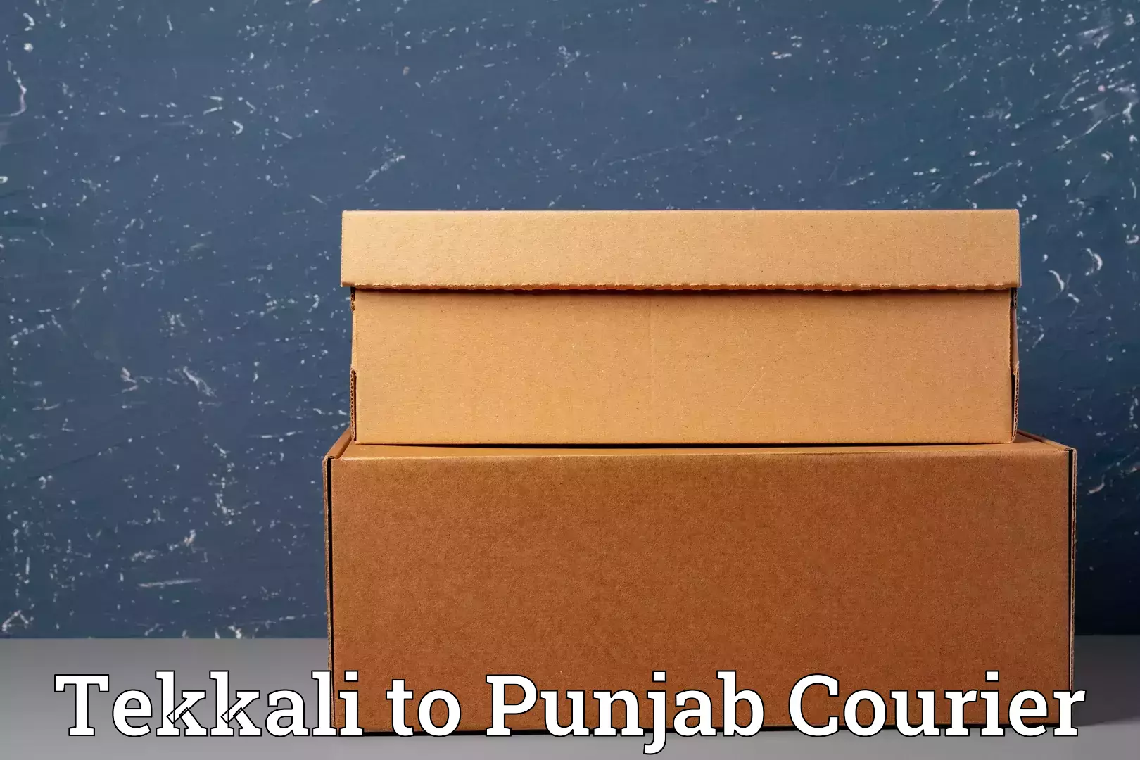 Residential moving experts in Tekkali to Guru Nanak Dev University Amritsar