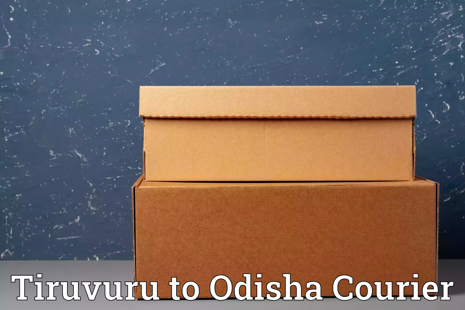 Quality moving and storage Tiruvuru to NIT Rourkela