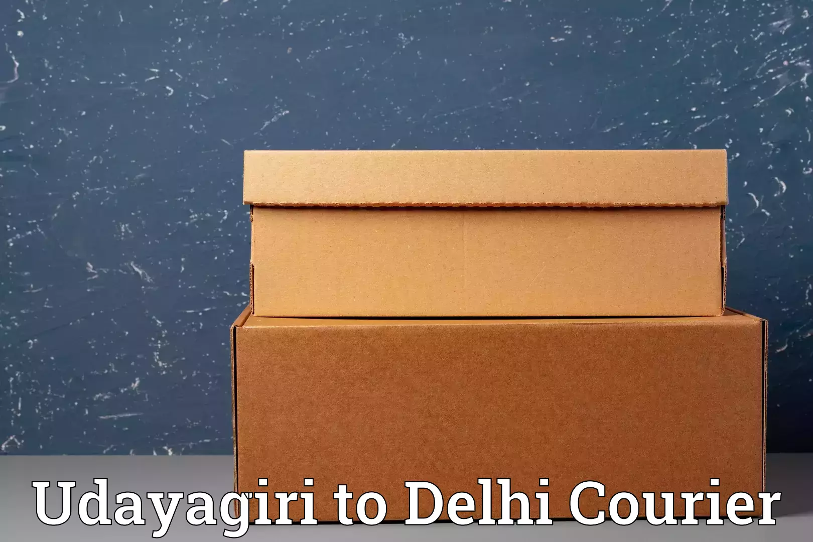 Home moving service Udayagiri to Ashok Vihar