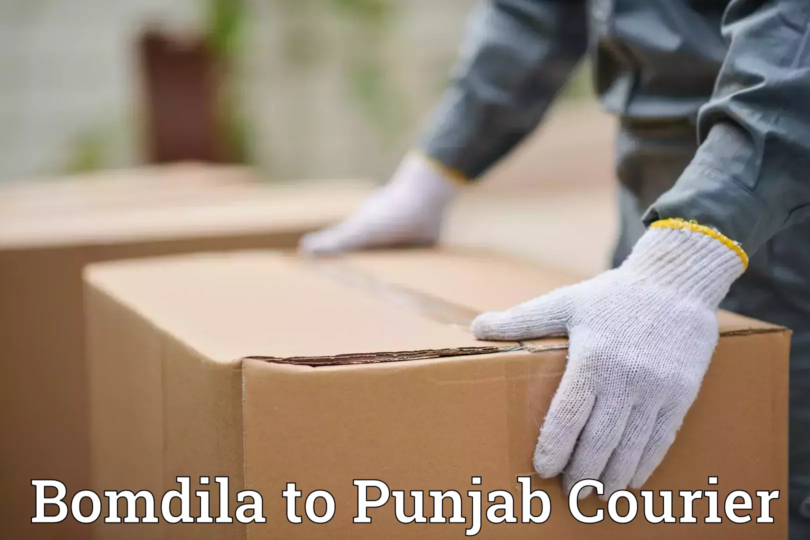 Comprehensive goods transport Bomdila to Rajpura