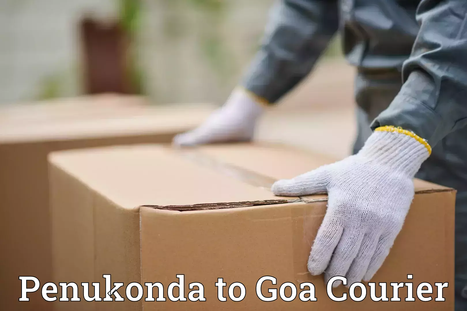 Flexible moving solutions Penukonda to Vasco da Gama