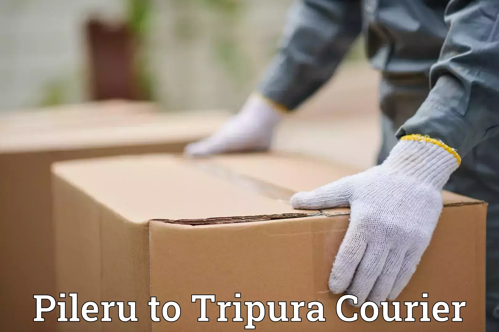 Online household goods transport Pileru to Kamalpur