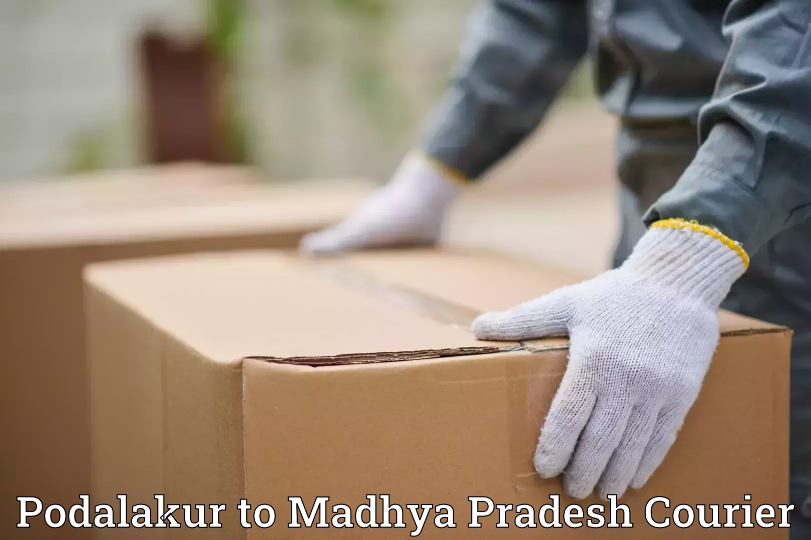 Expert furniture transport Podalakur to Jaora