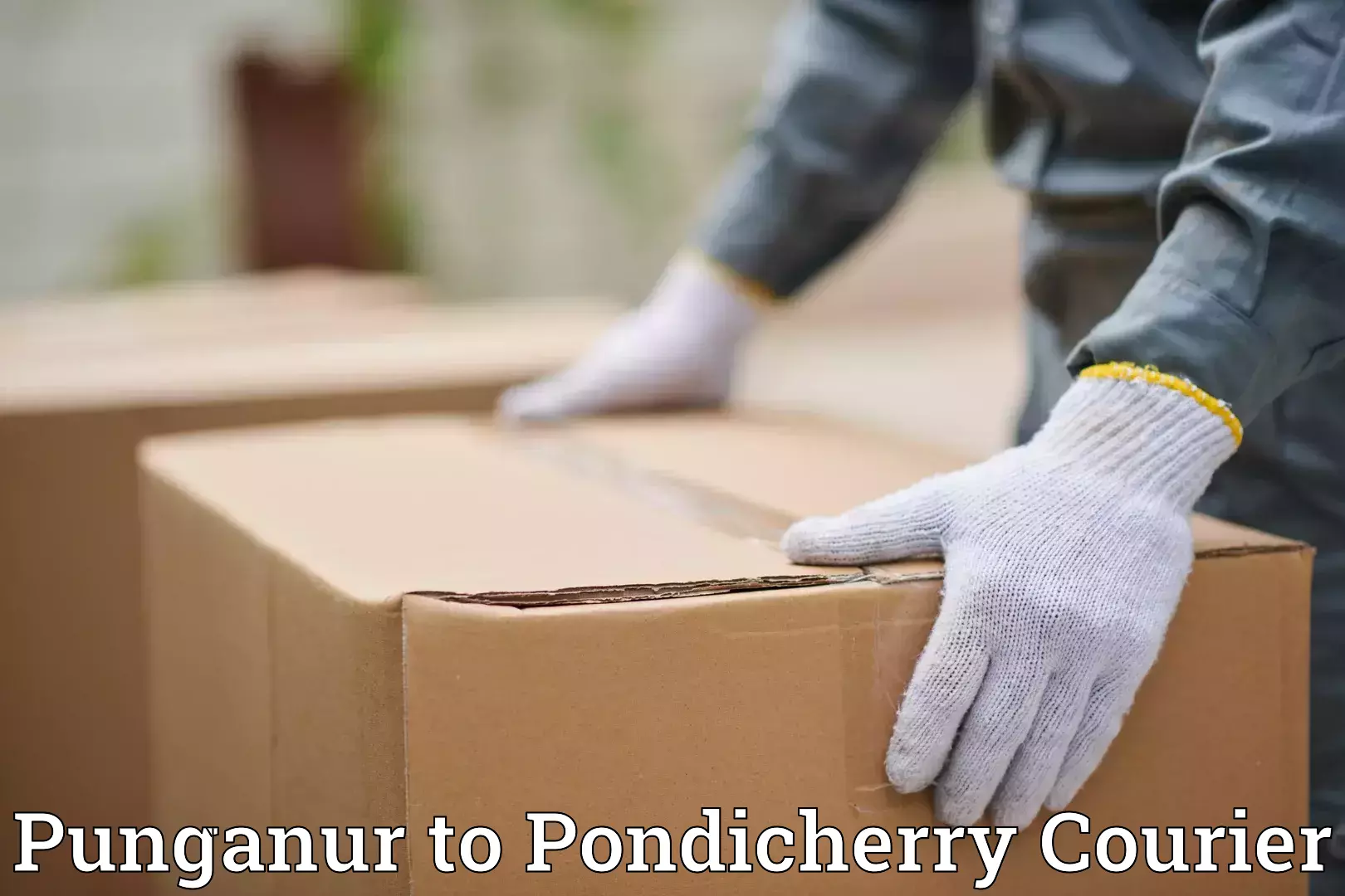 Flexible moving solutions Punganur to Pondicherry