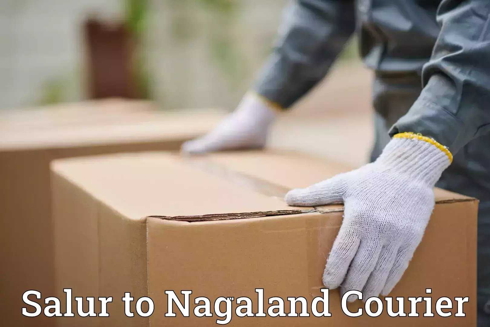 Professional relocation services Salur to NIT Nagaland