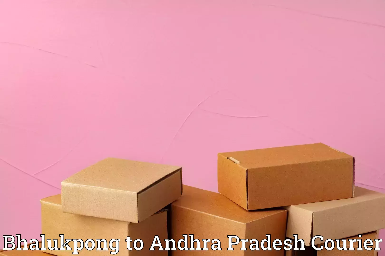 Comprehensive furniture moving Bhalukpong to Penugonda