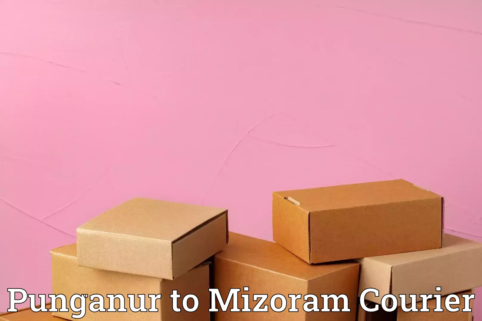 Dependable furniture movers Punganur to Mizoram University Aizawl