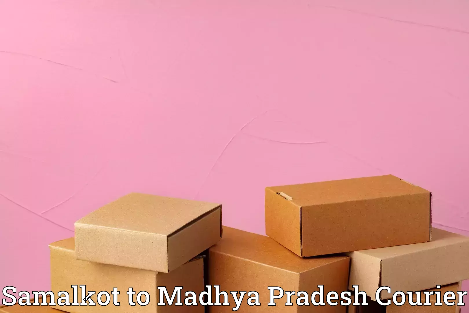 Quick home relocation services Samalkot to Indore