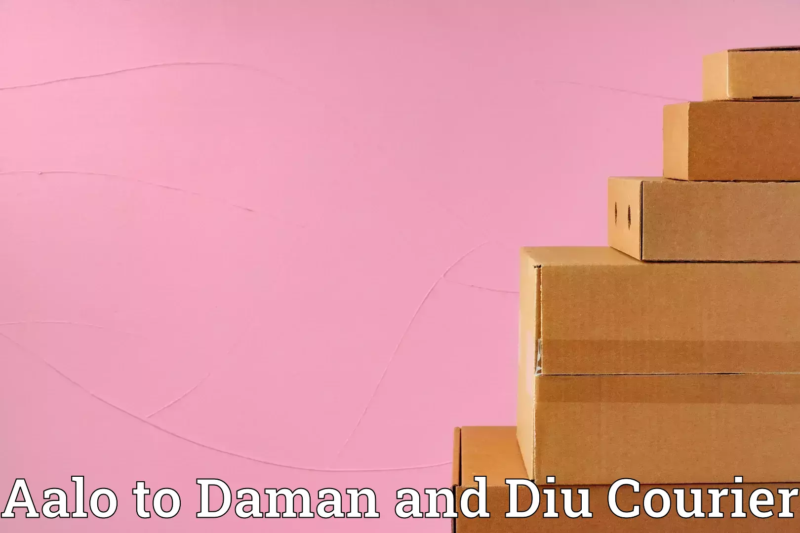 Household moving solutions Aalo to Daman