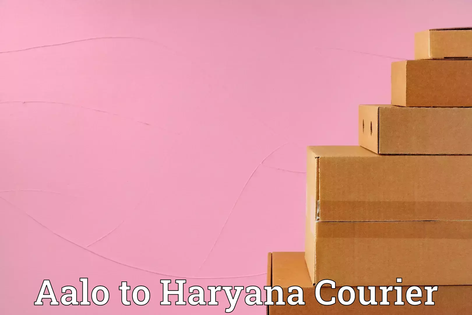 Professional furniture transport in Aalo to Jhajjar