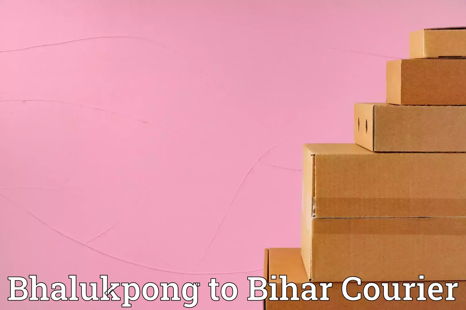 Customized home moving Bhalukpong to Valmiki Nagar