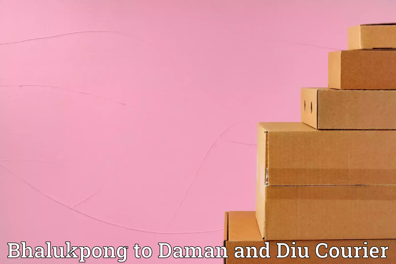 Household moving assistance Bhalukpong to Daman