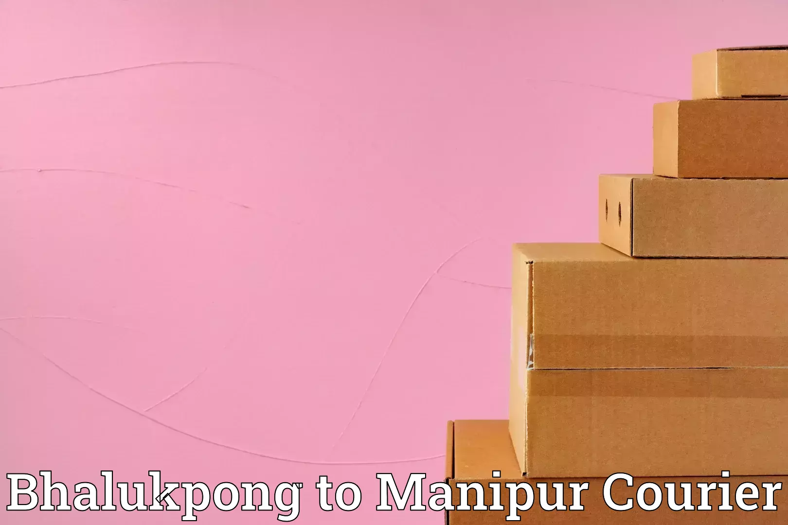 Safe moving services Bhalukpong to NIT Manipur