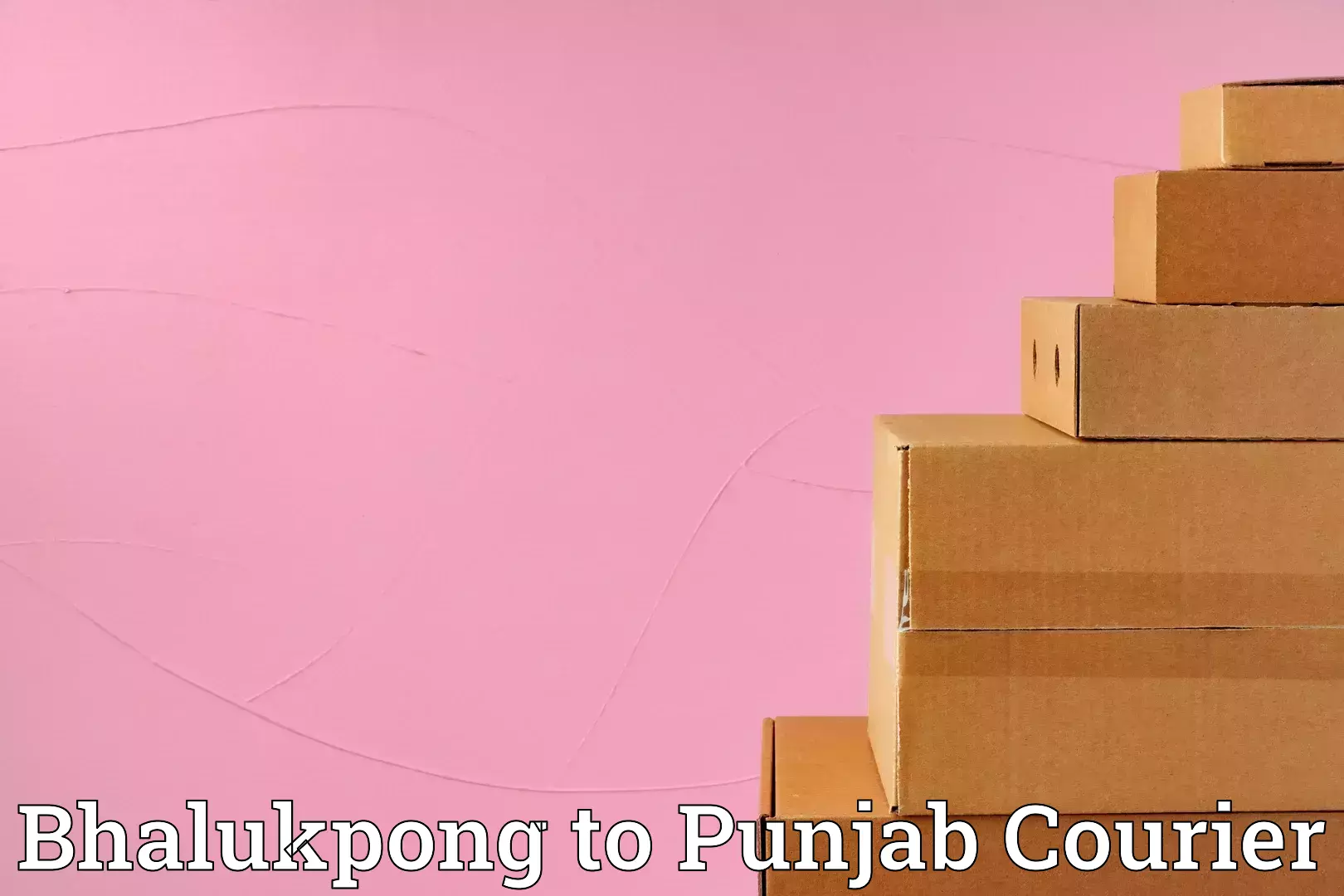 Furniture transport specialists Bhalukpong to Punjab