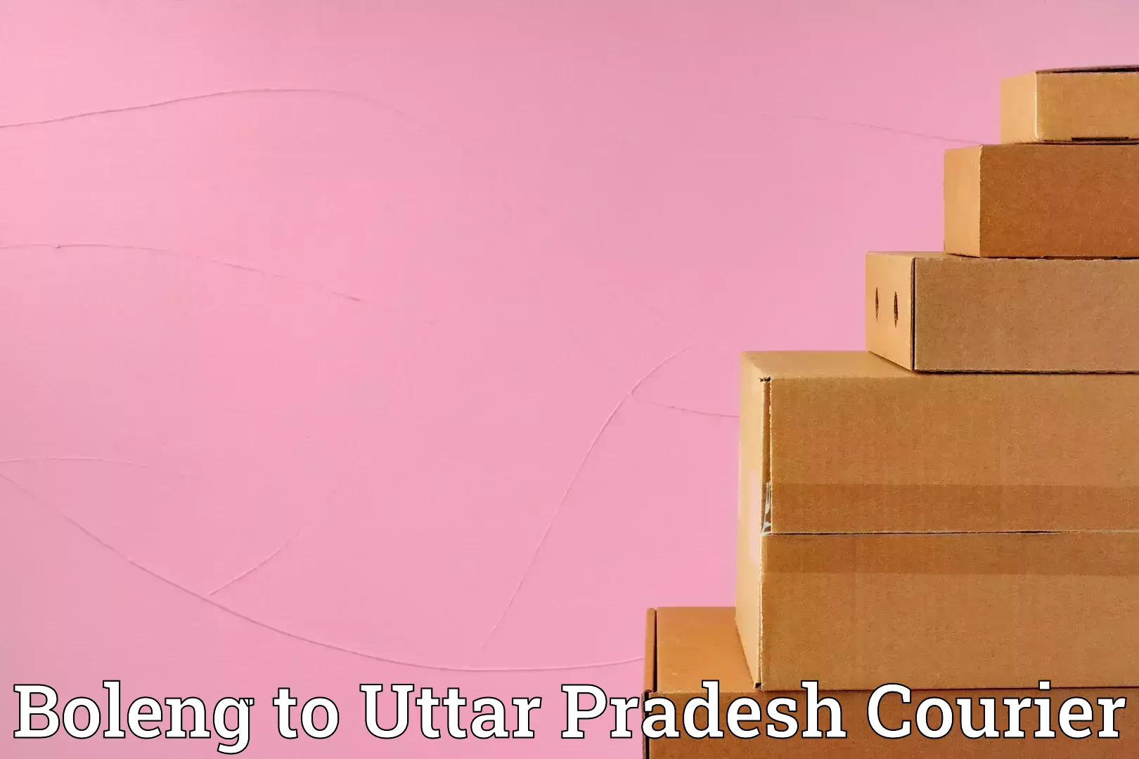 Cost-effective moving options Boleng to Deoband