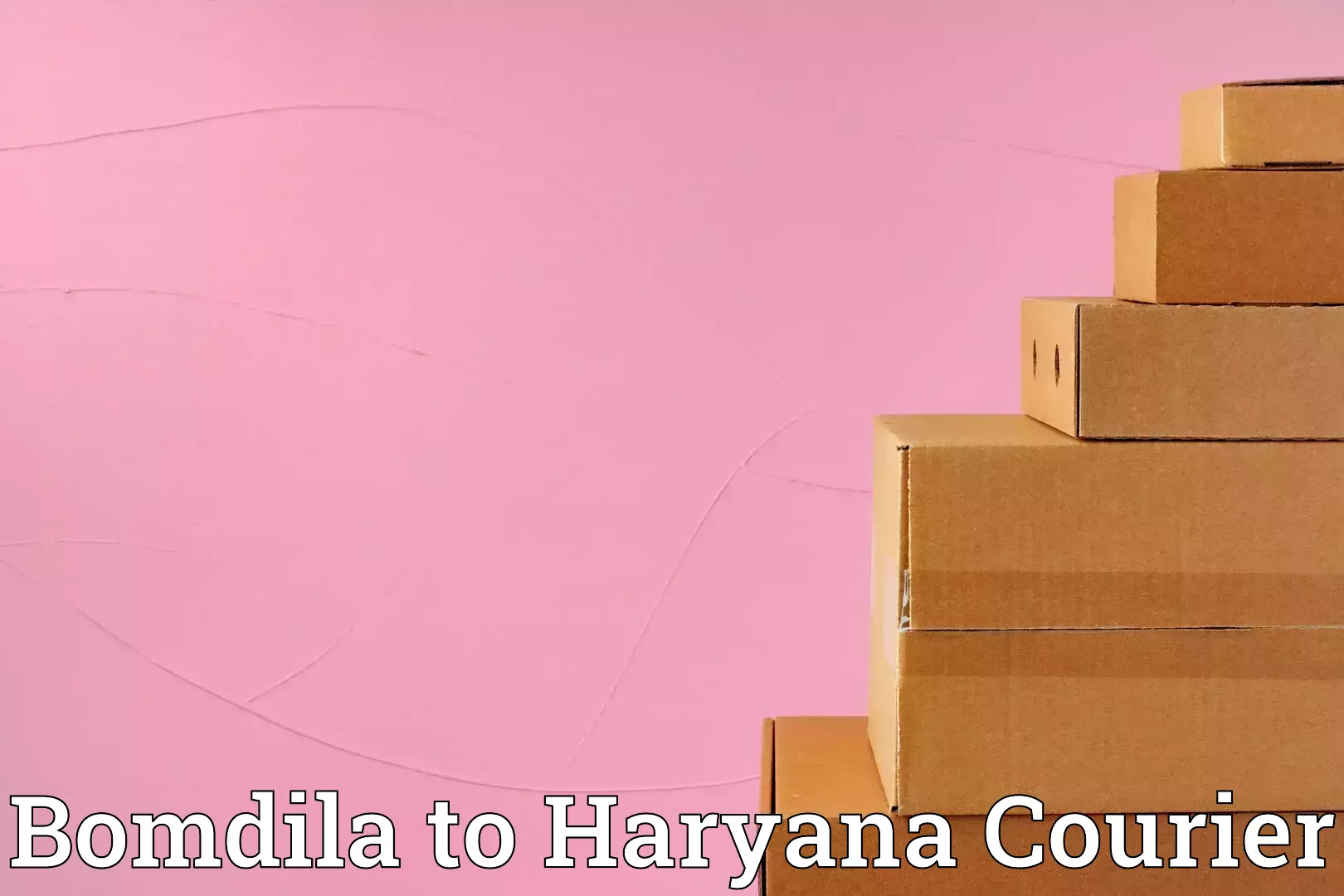 Furniture moving experts Bomdila to Hisar