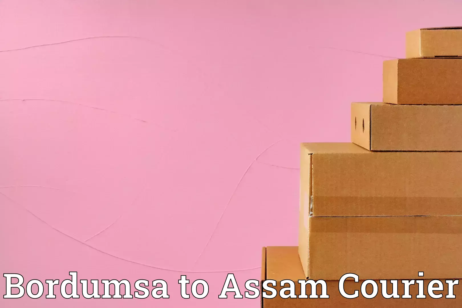 Household moving assistance Bordumsa to Assam