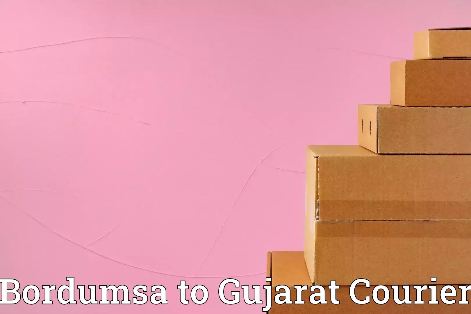 Custom moving and storage Bordumsa to Gujarat