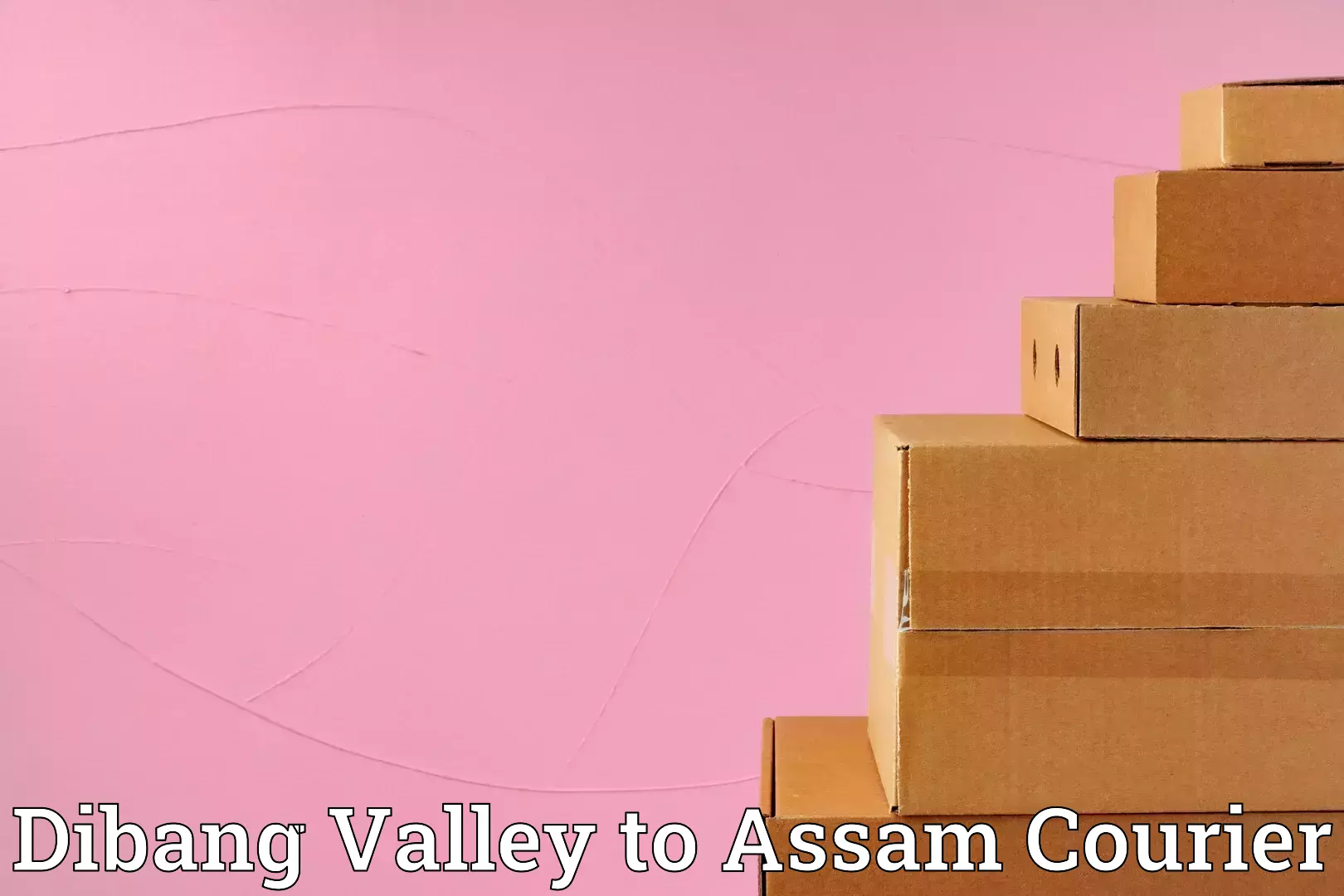 Custom relocation solutions Dibang Valley to Dhekiajuli