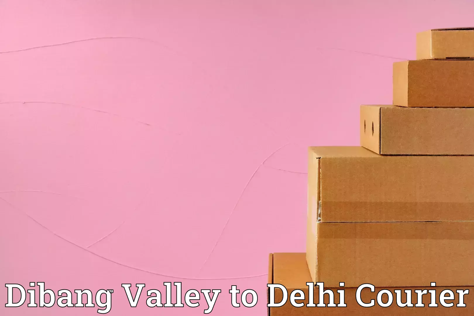 Furniture transport professionals Dibang Valley to Delhi