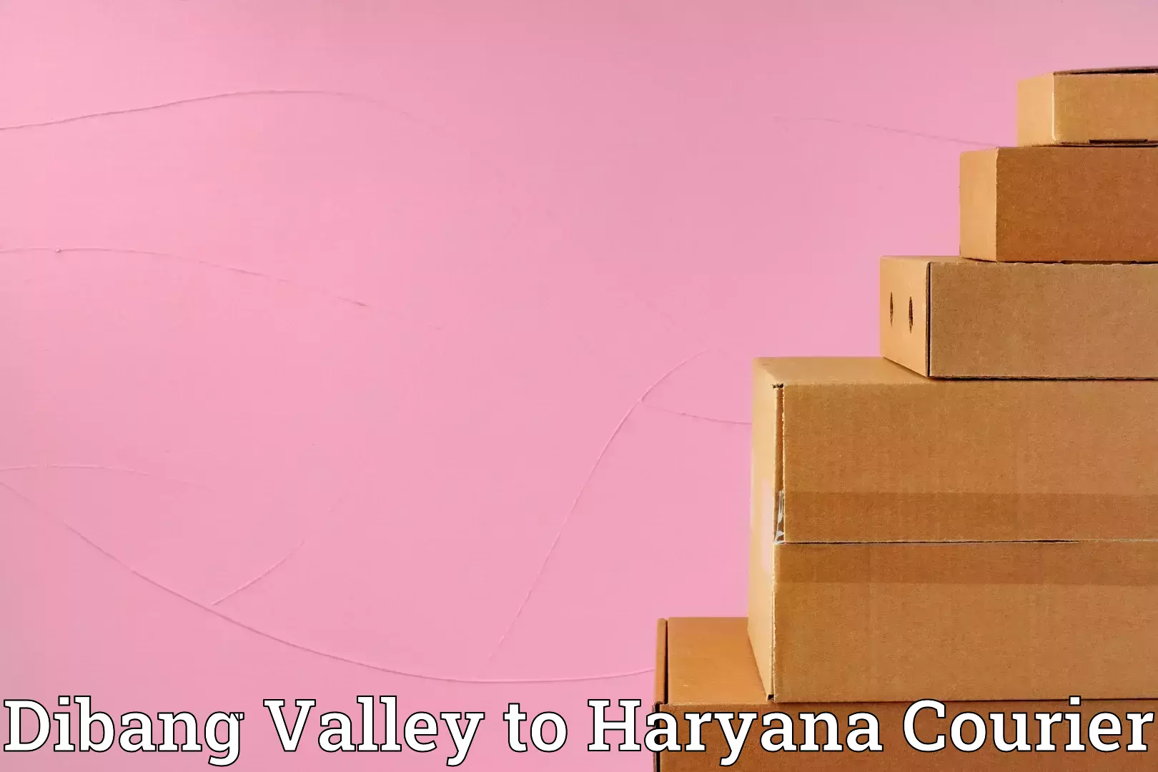 Furniture moving strategies Dibang Valley to Maharshi Dayanand University Rohtak