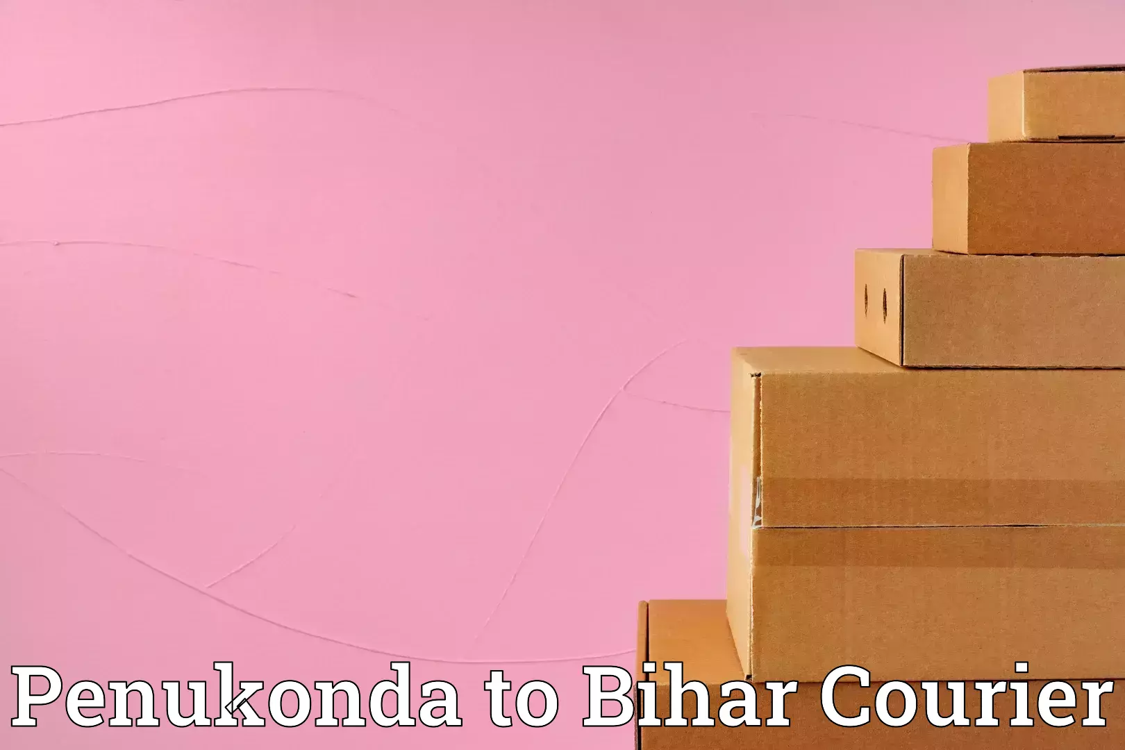 Efficient moving company Penukonda to Makhdumpur