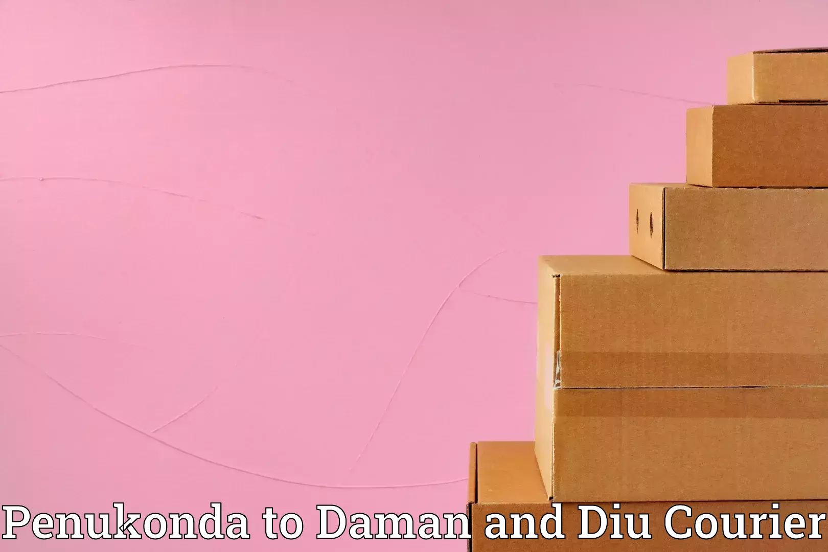 Advanced moving services Penukonda to Daman and Diu