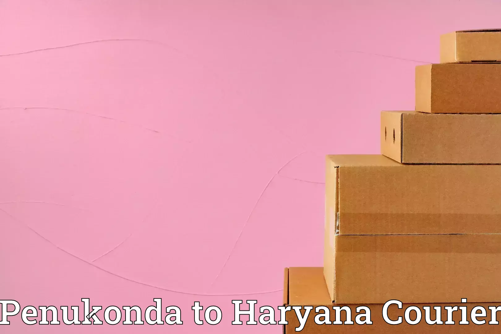 Advanced household moving services Penukonda to Kurukshetra