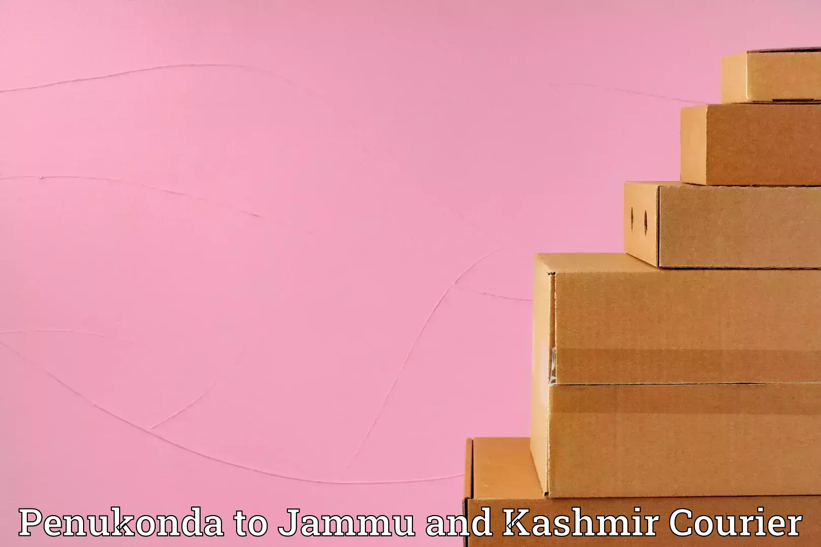 Home goods transport Penukonda to Kulgam