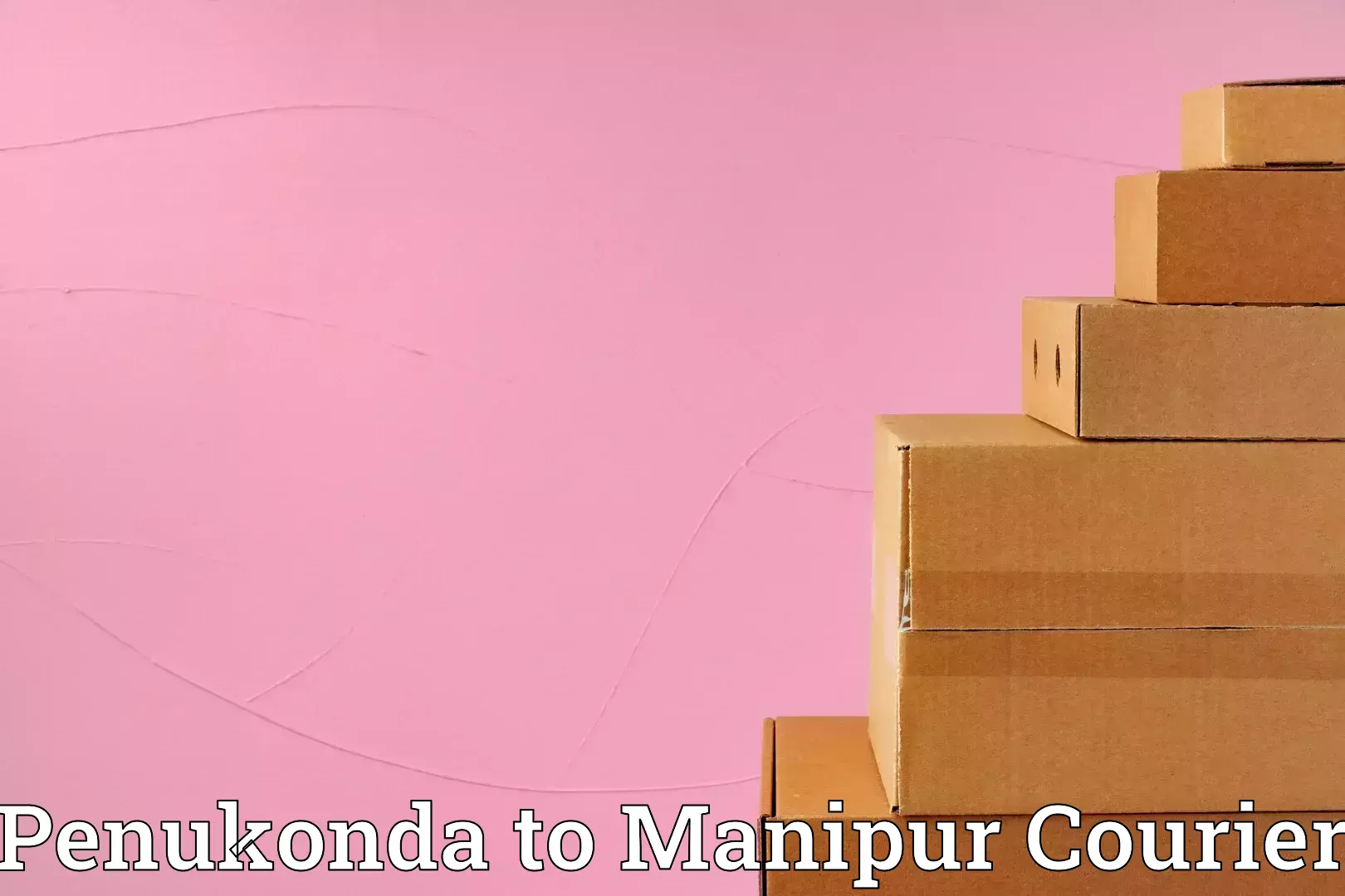 Safe furniture transport Penukonda to Kakching