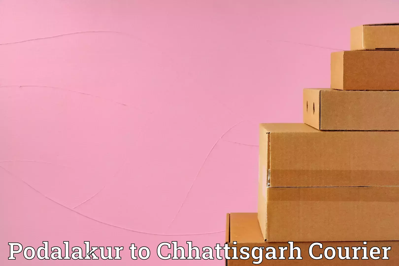 Efficient furniture movers in Podalakur to Chhattisgarh