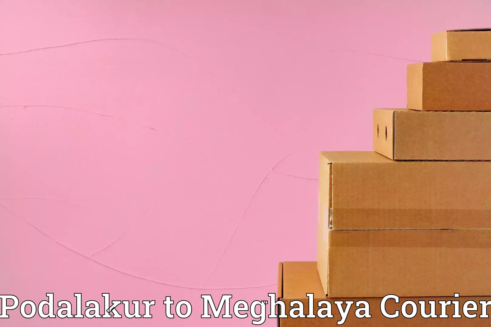 Tailored moving packages Podalakur to Meghalaya