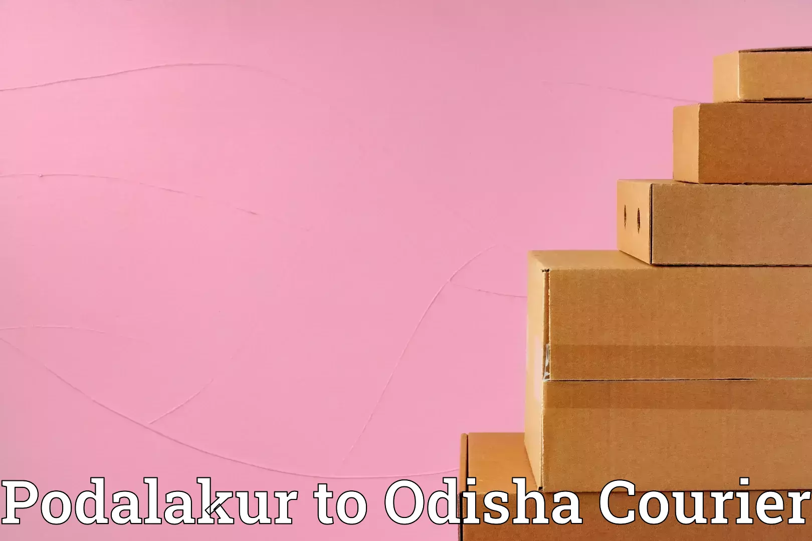 Custom moving plans Podalakur to Delang