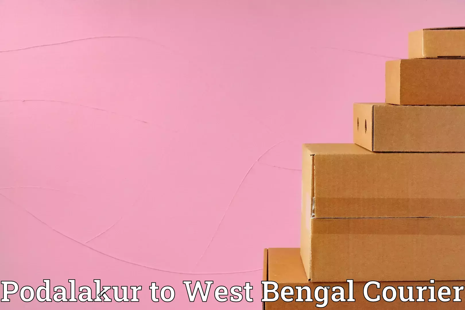 Efficient moving company Podalakur to Salkia