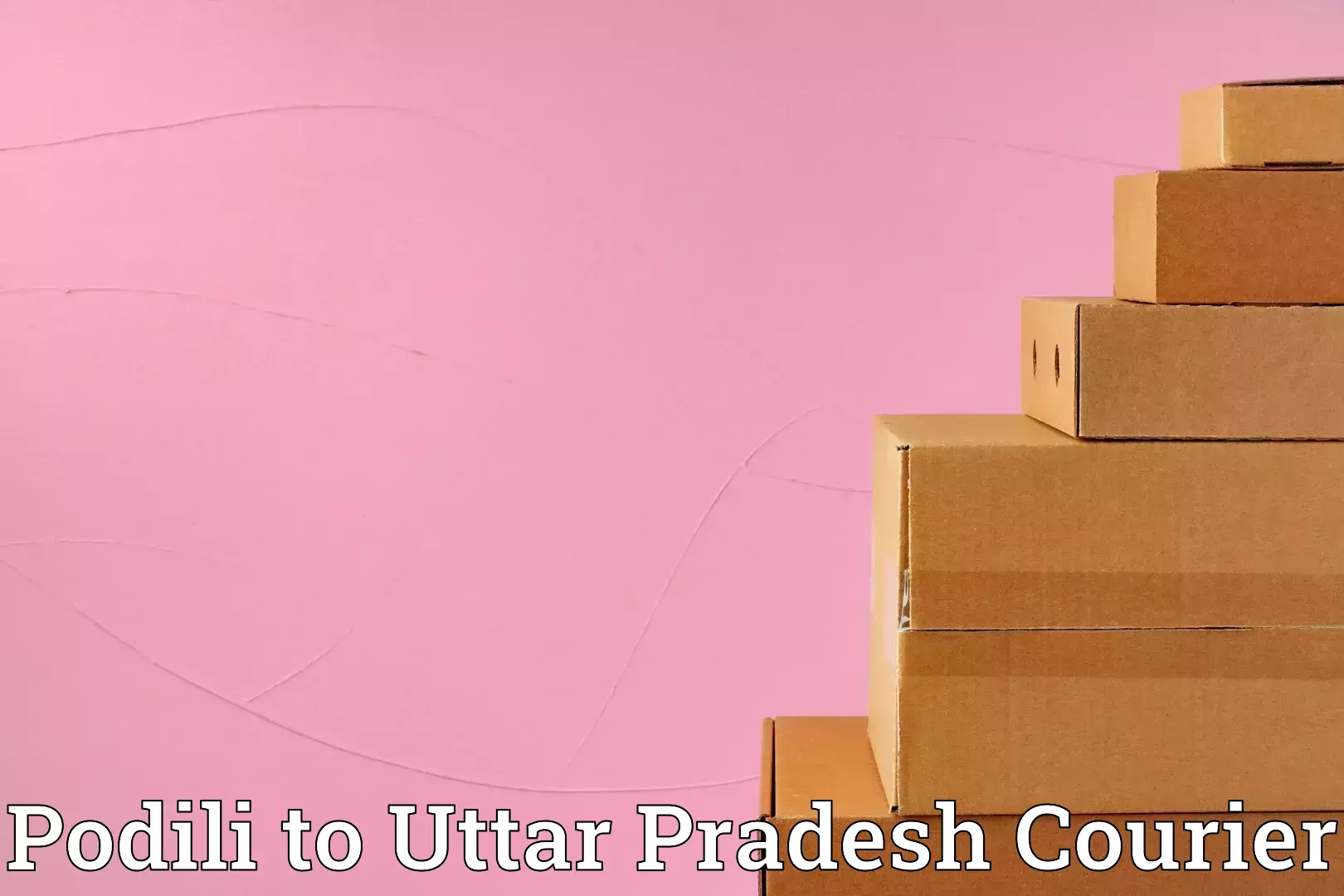 Home relocation services Podili to Shahjahanpur