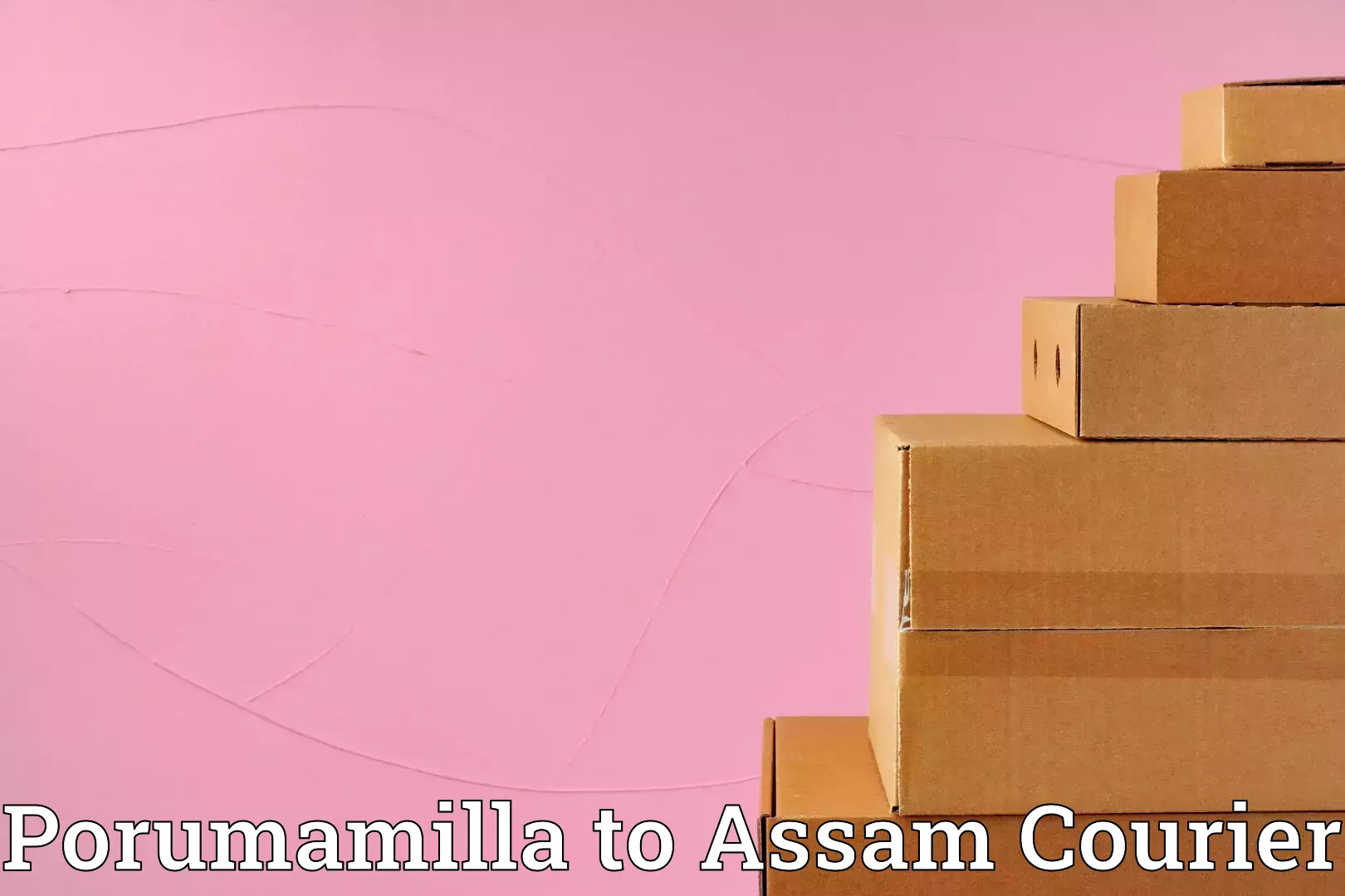 Hassle-free relocation Porumamilla to Assam