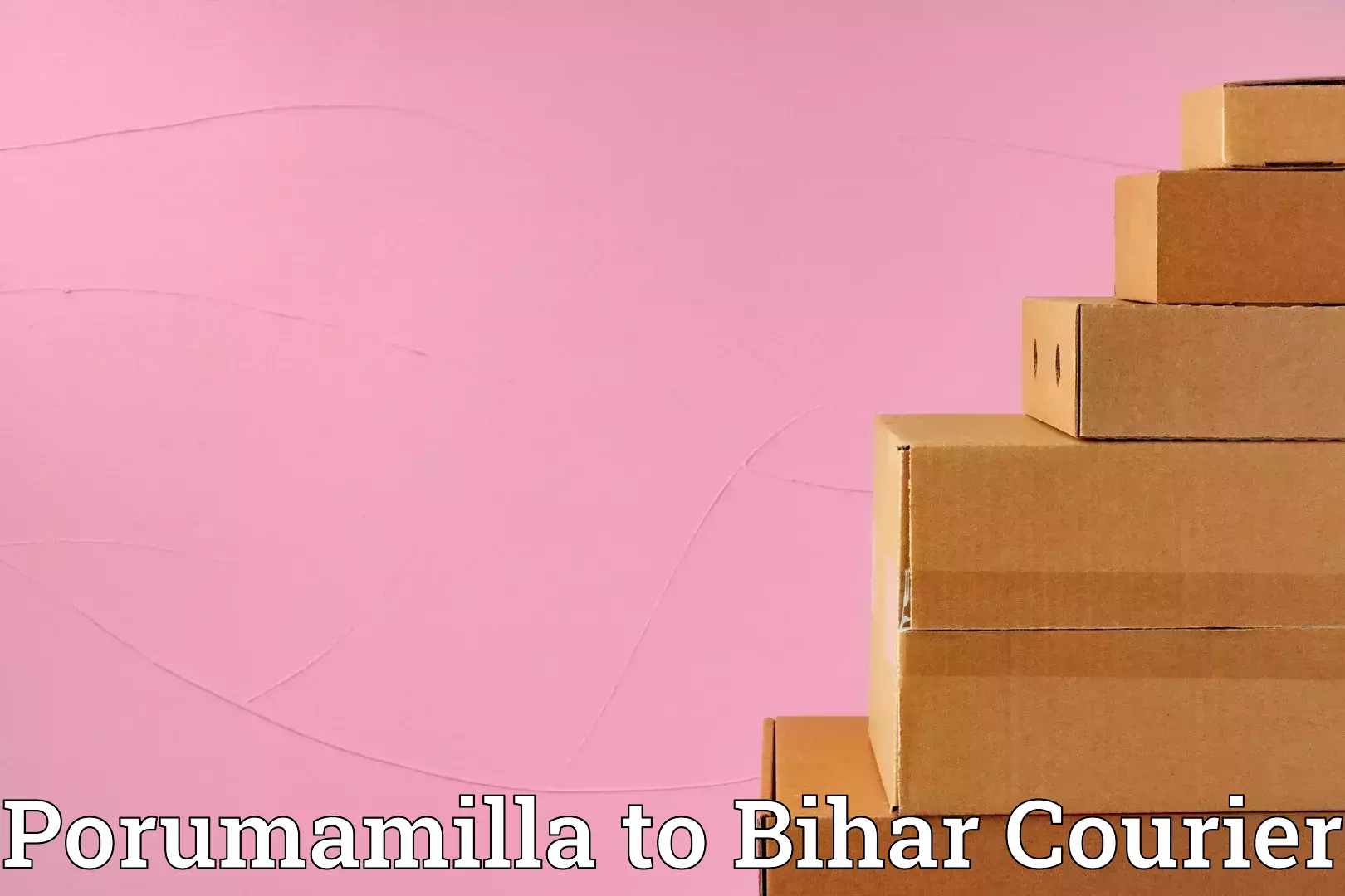 Customized moving solutions in Porumamilla to Bihar