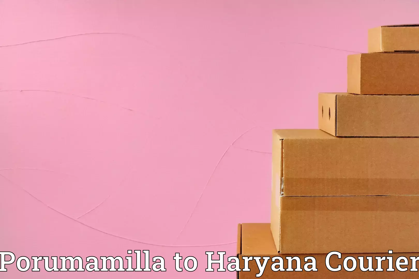 Efficient home goods movers Porumamilla to Agroha