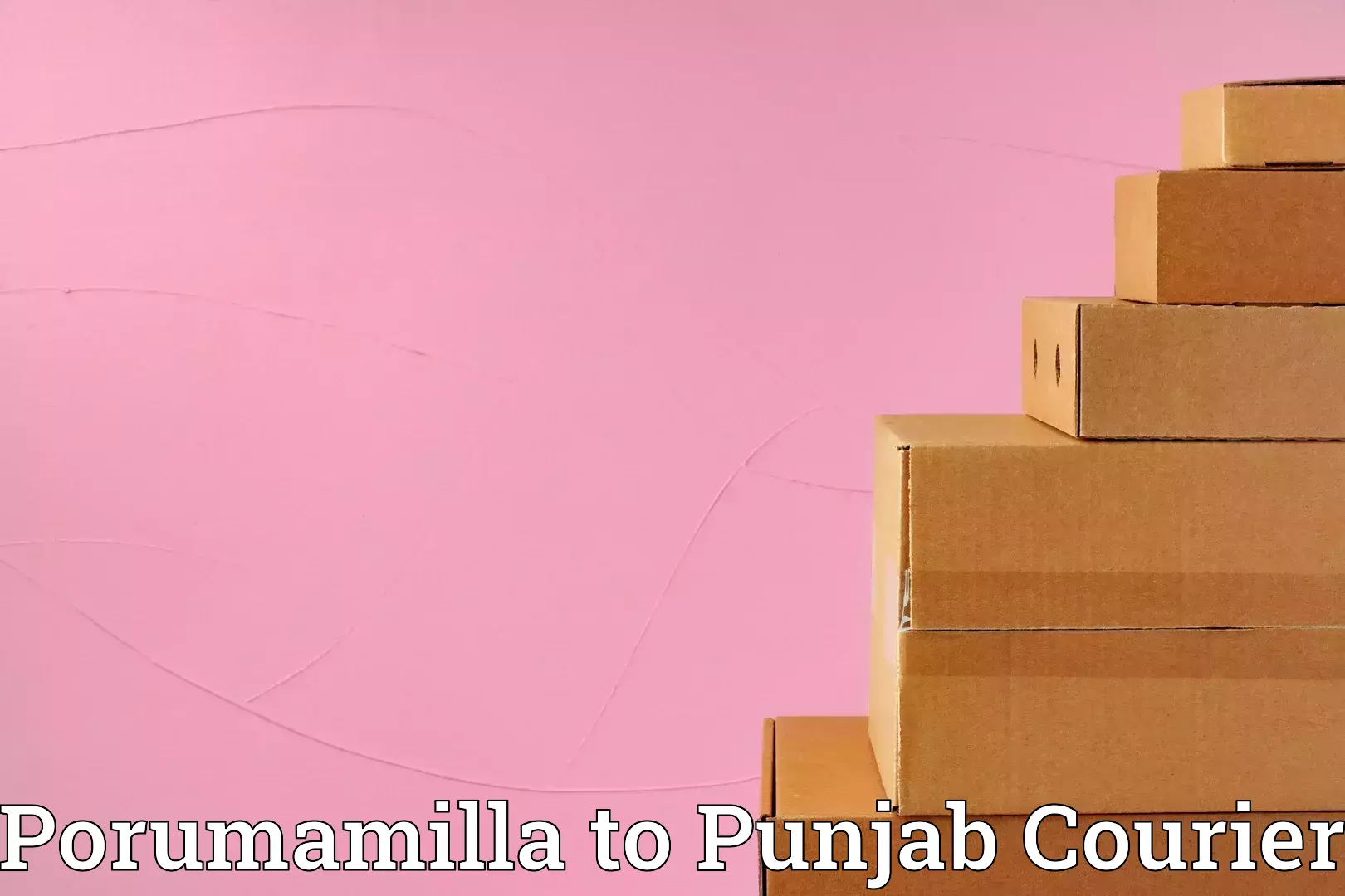 Skilled movers Porumamilla to Muktsar