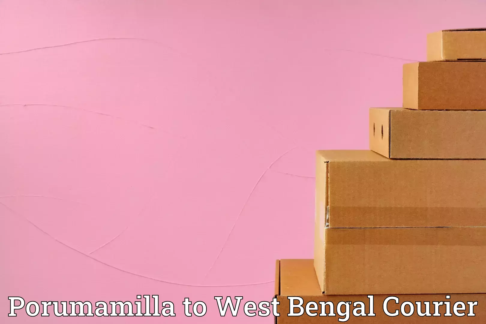 Efficient furniture movers Porumamilla to Bishnupur