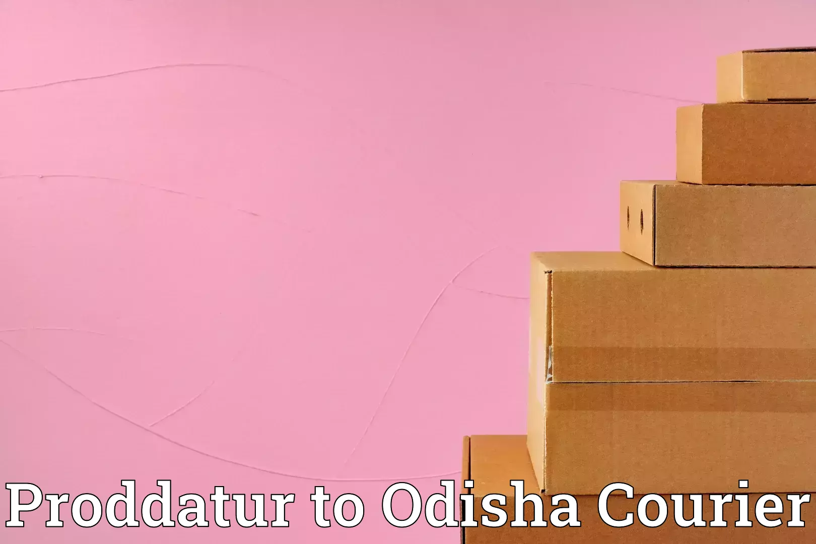 Comprehensive home shifting Proddatur to Paradip Port