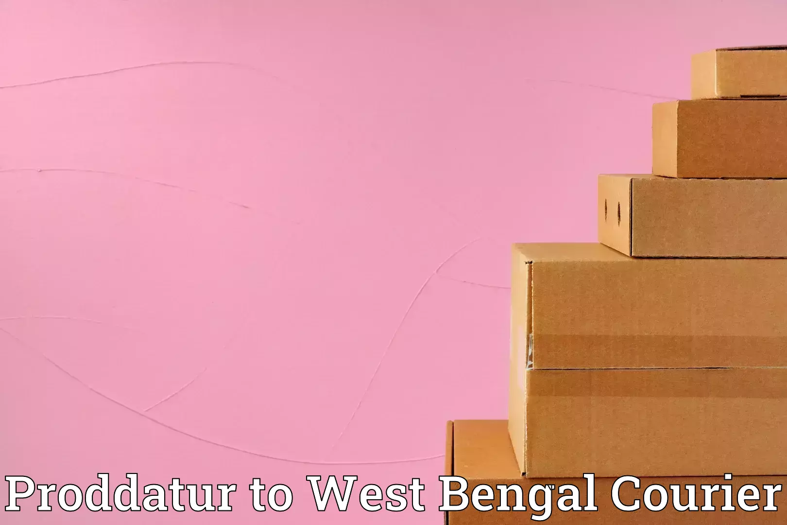 Efficient home relocation Proddatur to Shantiniketan