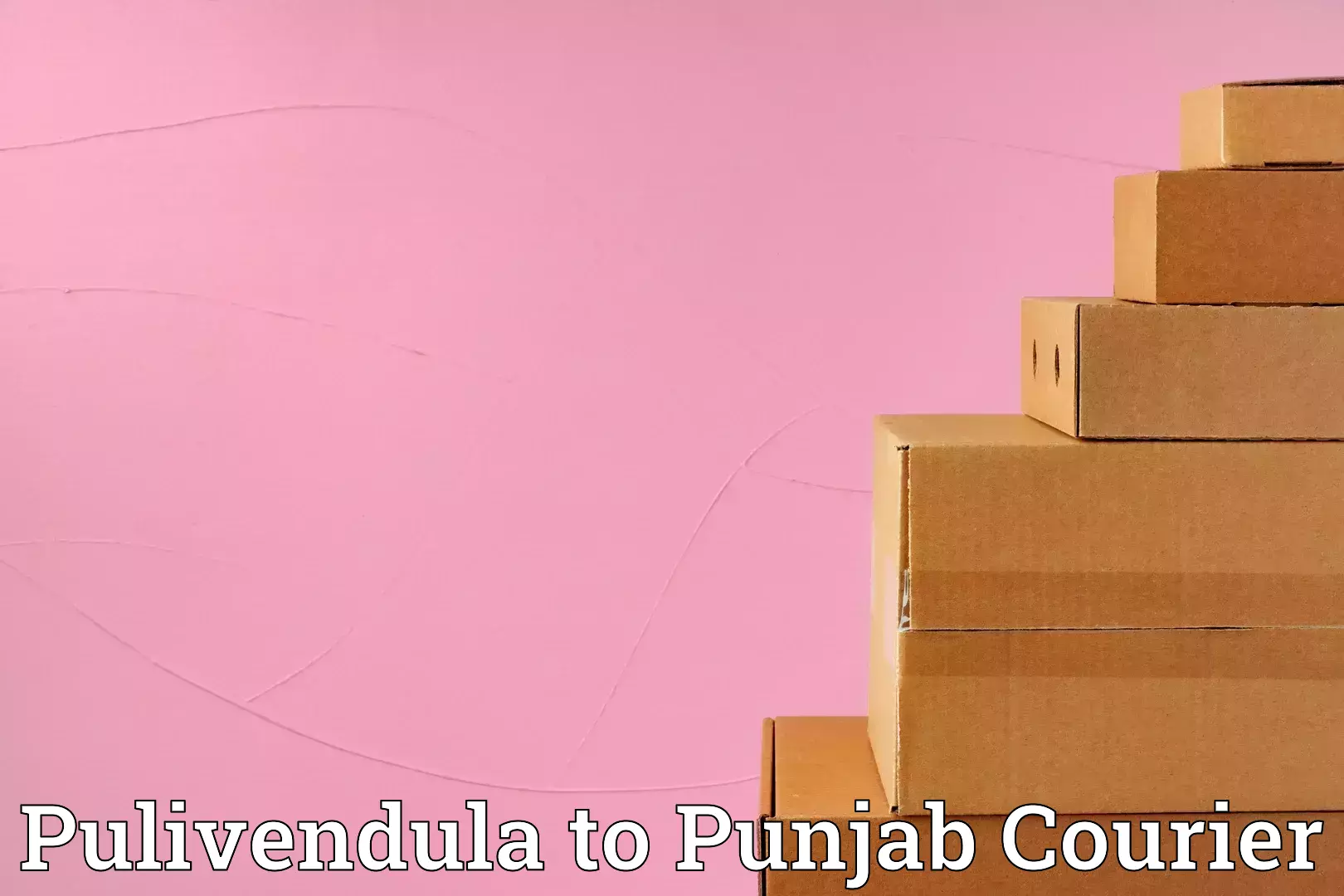 Dependable furniture movers in Pulivendula to Punjab