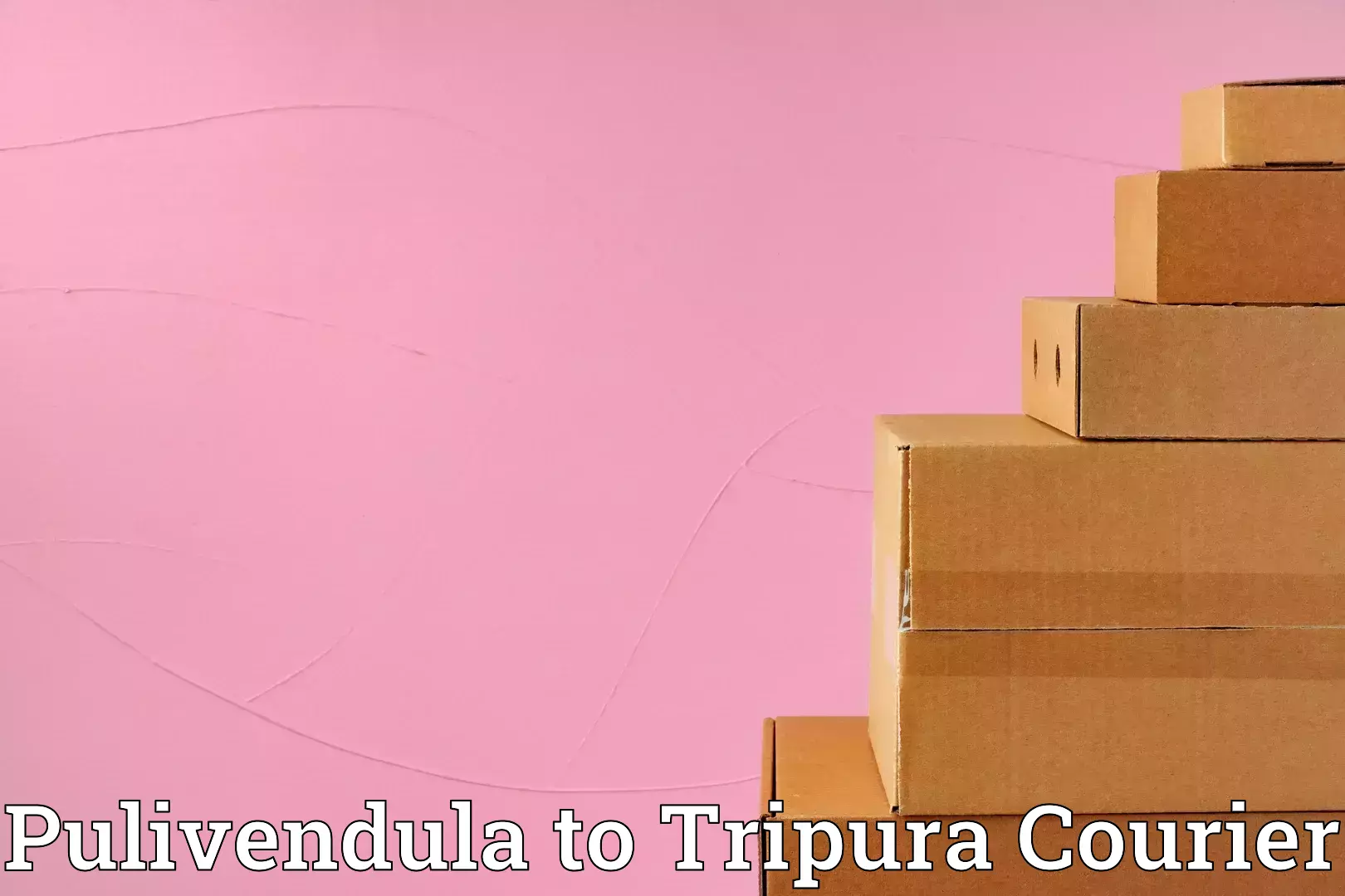 Furniture delivery service Pulivendula to Kumarghat